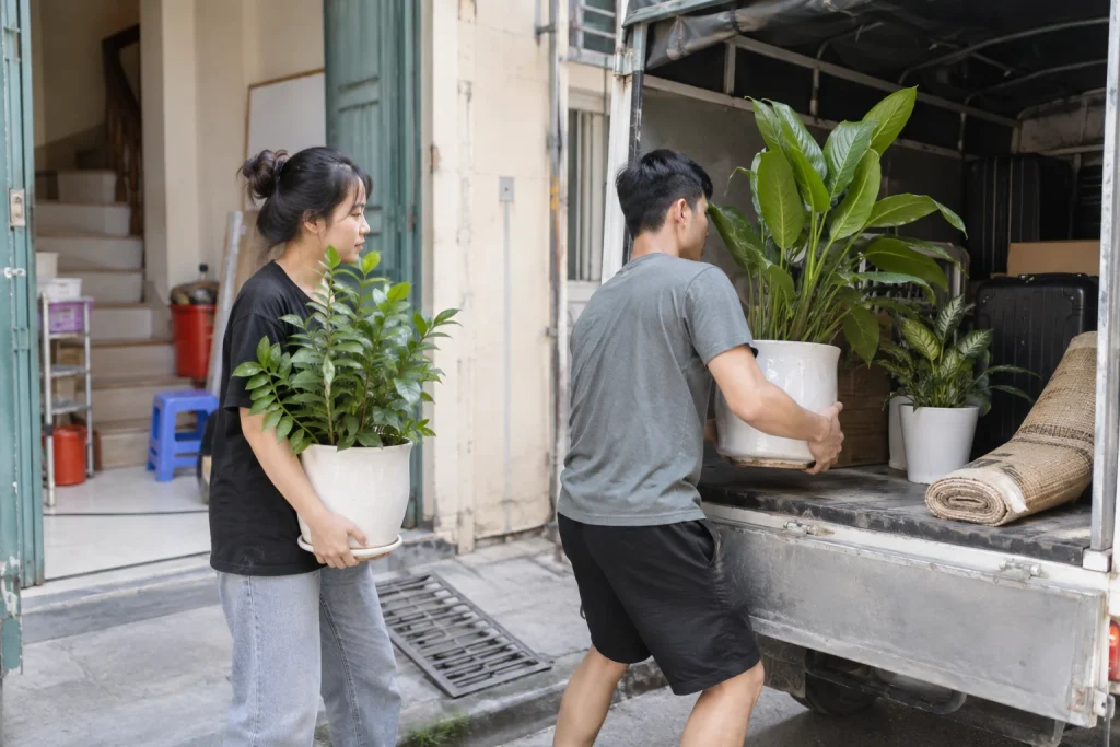 Ảnh minh họa cho bài Cách vận chuyển cây cảnh khi chuyển trọ