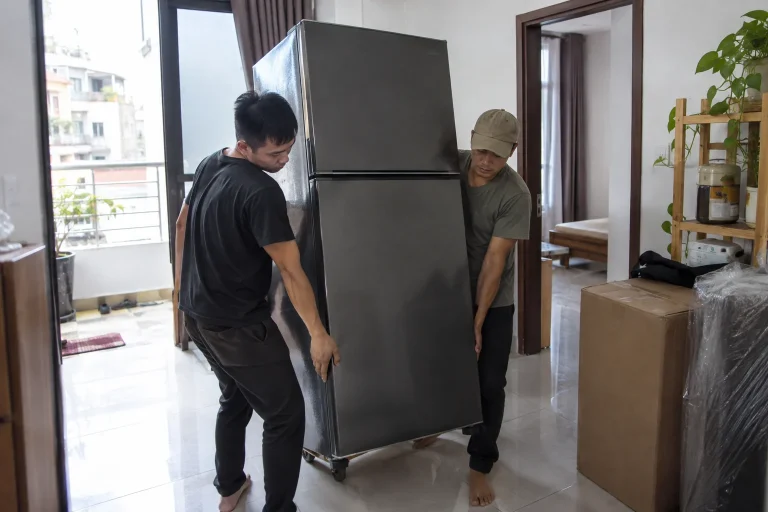 Ảnh minh họa cho bài Chuyển tủ lạnh bao lâu thì được cắm điện